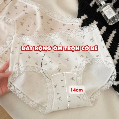 Quần Lót Nữ Cotton Mềm Thoáng Khí AMYBRA L5.228 - Chip Ren Gợi Cảm, Giá 38.000₫
