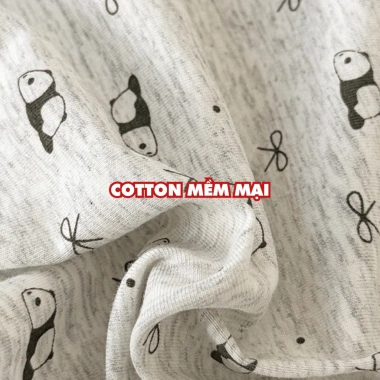 Quần Lót Nữ Cotton Mềm Thoáng Khí AMYBRA L5.228 - Chip Ren Gợi Cảm, Giá 38.000₫