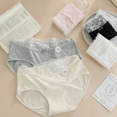Quần Lót Nữ Cotton Mịn Cạp Ren Gợi Cảm Chip Cạp Vừa Đáy May AMYBRA L5.310 Giá 37k