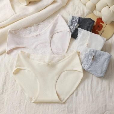 Quần Lót Nữ Cotton Mịn Cạp Ren Gợi Cảm Chip Cạp Vừa Đáy May AMYBRA L5.310 Giá 37k