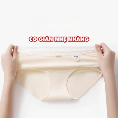 Quần Lót Nữ Cotton Mịn Cạp Ren Gợi Cảm Chip Cạp Vừa Đáy May AMYBRA L5.310 Giá 37k
