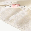 Quần Lót Nữ Cotton Mịn Cạp Ren Gợi Cảm Chip Cạp Vừa Đáy May AMYBRA L5.310 Giá 37k 7