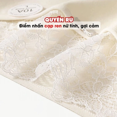 Quần Lót Nữ Cotton Mịn Cạp Ren Gợi Cảm Chip Cạp Vừa Đáy May AMYBRA L5.310 Giá 37k