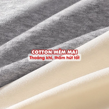 Quần Lót Nữ Cotton Mịn Cạp Ren Gợi Cảm Chip Cạp Vừa Đáy May AMYBRA L5.310 Giá 37k