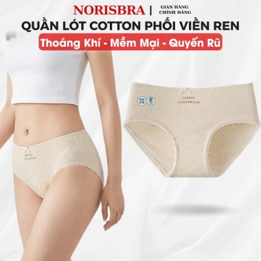 Quần Lót Nữ Cotton Ren Nữ Tính, Chip Đáy Kháng Khuẩn AMYBRA L5.210 – Giá 37.000₫