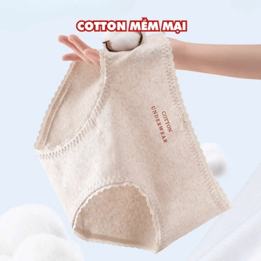 Quần Lót Nữ Cotton Ren Nữ Tính, Chip Đáy Kháng Khuẩn AMYBRA L5.210 – Giá 37.000₫