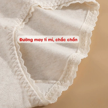 Quần Lót Nữ Cotton Ren Nữ Tính, Chip Đáy Kháng Khuẩn AMYBRA L5.210 – Giá 37.000₫