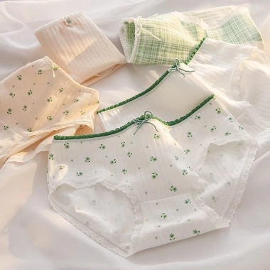 Quần Lót Nữ Cotton Ren Quyến Rũ Quần Chip Cạp Vừa Họa Tiết Xinh Xắn AMYBRA L311 2