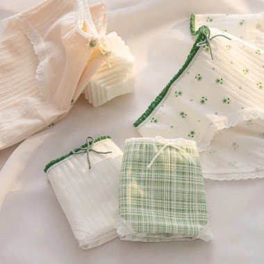 Quần Lót Nữ Cotton Ren Quyến Rũ Quần Chip Cạp Vừa Họa Tiết Xinh Xắn AMYBRA L311 5