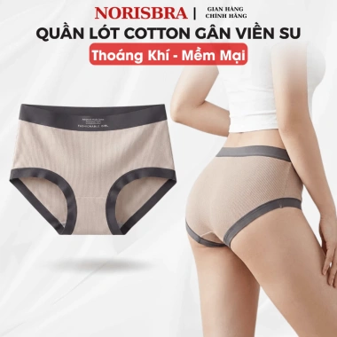 Quần Lót Nữ Cotton Thoáng Khí AMYBRA L5.246 - Cạp Cao, Viền Su Co Giãn, Giá 39.000