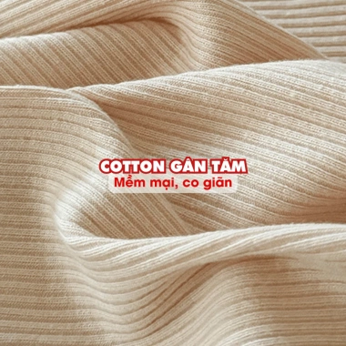 Quần Lót Nữ Cotton Thoáng Khí AMYBRA L5.246 - Cạp Cao, Viền Su Co Giãn, Giá 39.000