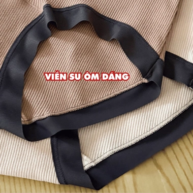 Quần Lót Nữ Cotton Thoáng Khí AMYBRA L5.246 - Cạp Cao, Viền Su Co Giãn, Giá 39.000
