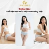 Quần Lót Nữ Đúc Su Lỗ Thoáng Khí, Chip Cạp Vừa Họa Tiết Gấu Dễ Thương AMYBRA L718 - 38K 2