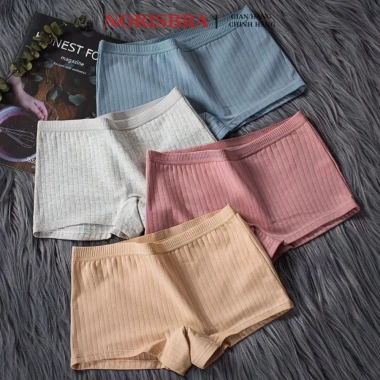 Quần lót nữ gân tăm co giãn thoáng khí, chíp 2 lớp lộ viền, AMYBRA V4.116 36k 3