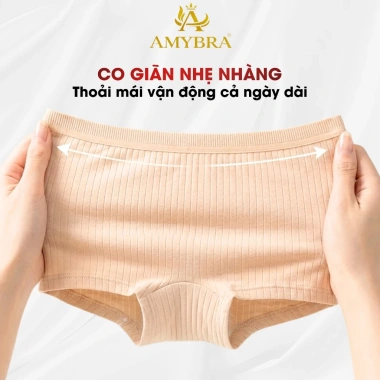 Quần lót nữ gân tăm co giãn thoáng khí, chíp 2 lớp lộ viền, AMYBRA V4.116 36k 8