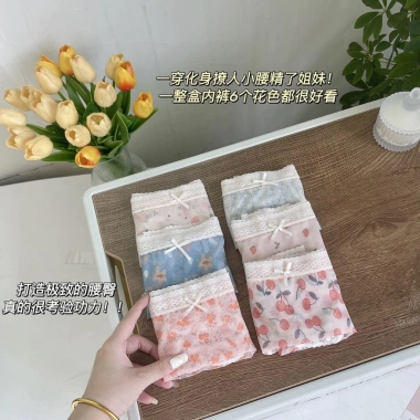 Quần Lót Nữ Ren Gấm Sexy A120 - Viền Ren Gợn Sóng, Tôn Dáng, Giá 25.000 VND