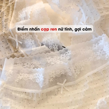 Quần Lót Nữ Ren Mềm Gợi Cảm, Chip Cạp Cao May AMYBRA L5.904 - Giá 52.000đ