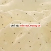 Quần Lót Nữ Ren Mềm Gợi Cảm, Chip Cạp Cao May AMYBRA L5.904 - Giá 52.000đ 9