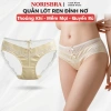 Quần Lót Nữ Ren Satin Gợi Cảm Mẫu 2.026 Đáy May Kháng Khuẩn AMYBRA L8.127 61k