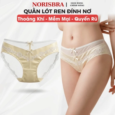 Quần Lót Nữ Ren Satin Gợi Cảm Mẫu 2.026 Đáy May Kháng Khuẩn AMYBRA L8.127 61k