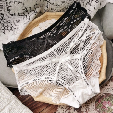 Quần Lót Nữ Ren Su Đan Hông Cao Cấp A77 - Mềm Mại, Sexy, Gợi Cảm, Giá 35.000 VND 10