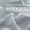 Quần lót nữ ren tơ kháng khuẩn họa tiết tim nhỏ siêu mỏng, thiết kế mềm mại 3