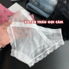 Quần Lót Nữ Ren Xuyên Thấu Gợi Cảm, Chip Đáy May Kháng Khuẩn AMYBRA L8.136 - Giá chỉ 42.000₫ 7