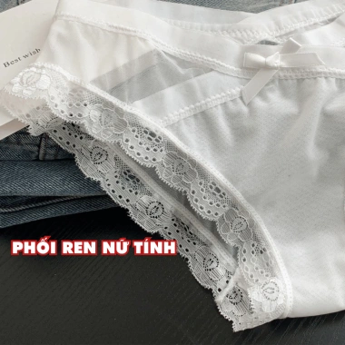 Quần Lót Nữ Ren Xuyên Thấu Gợi Cảm, Chip Đáy May Kháng Khuẩn AMYBRA L8.136 - Giá chỉ 42.000₫