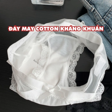 Quần Lót Nữ Ren Xuyên Thấu Gợi Cảm, Chip Đáy May Kháng Khuẩn AMYBRA L8.136 - Giá chỉ 42.000₫