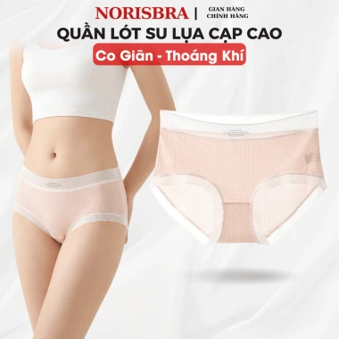Quần Lót Nữ Su Tàng Cạp Cao Chip Đáy Thông Hơi Kháng Khuẩn AMYBRA L1.398 38k
