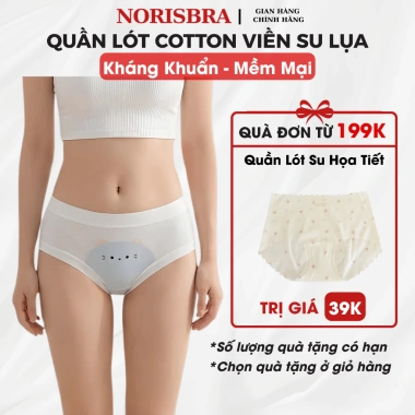 Quần Lót Nữ Viền Su Lụa Co Giãn Mềm, Chip Đáy Kháng Khuẩn AMYBRA L1.164 Giá 36.000đ