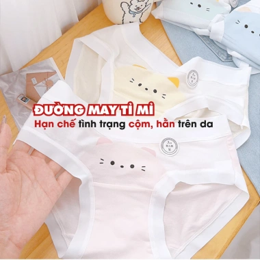 Quần Lót Nữ Viền Su Lụa Co Giãn Mềm, Chip Đáy Kháng Khuẩn AMYBRA L1.164 Giá 36.000đ