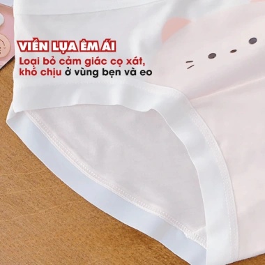 Quần Lót Nữ Viền Su Lụa Co Giãn Mềm, Chip Đáy Kháng Khuẩn AMYBRA L1.164 Giá 36.000đ