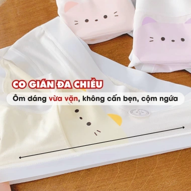 Quần Lót Nữ Viền Su Lụa Co Giãn Mềm, Chip Đáy Kháng Khuẩn AMYBRA L1.164 Giá 36.000đ