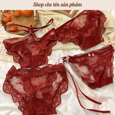Quần Lót Ren Nữ Set 2, Set 4 Gợi Cảm, Sexy Hoa Độc Đáo Giá 69.900₫