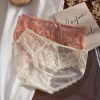 Quần Lót Ren Nữ Siêu Mỏng Gợi Cảm, Đẹp Sang Trọng, Sexy – 55k AMYBRA L8.809 2