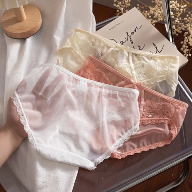 Quần Lót Ren Nữ Siêu Mỏng Gợi Cảm, Đẹp Sang Trọng, Sexy – 55k AMYBRA L8.809 4