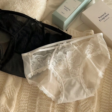 Quần Lót Ren Nữ Siêu Mỏng Gợi Cảm, Đẹp Sang Trọng, Sexy – 55k AMYBRA L8.809 5