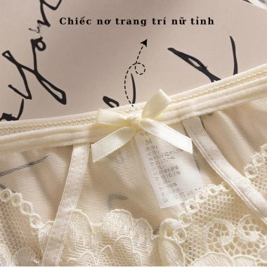 Quần Lót Ren Nữ Siêu Mỏng Gợi Cảm, Đẹp Sang Trọng, Sexy – 55k AMYBRA L8.809 7