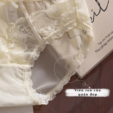 Quần Lót Ren Nữ Siêu Mỏng Gợi Cảm, Đẹp Sang Trọng, Sexy – 55k AMYBRA L8.809 8