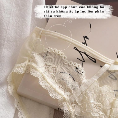 Quần Lót Ren Nữ Siêu Mỏng Gợi Cảm, Đẹp Sang Trọng, Sexy – 55k AMYBRA L8.809 9