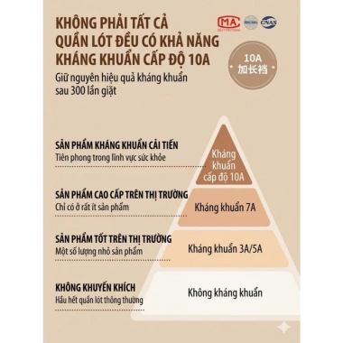 Quần Lót Su Lạnh Nữ 10A Dày Dặn Kháng Khuẩn Không Viền Mặc Như Không