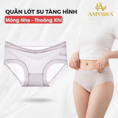 Quần lót su nữ tàn hình mỏng nhẹ, chip co dãn, đáy may 2 lớp AMYBRA L896 – 43.000₫