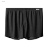 Quần Short Nam Ice Silk Thoáng Khí Mùa Hè, Băng Lụa Mềm Mại, Co Giãn, Eo Thường, Đầu Gối Trơn, Homewear Bãi Biển 289k 7