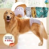 Quần sinh lý chó cái 5-60kg giặt được, thoáng khí, thấm hút, dây dán điều chỉnh, dùng quanh năm - Giá 330.631₫