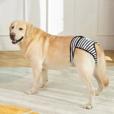 Quần sinh lý chó cái 5-60kg giặt được, thoáng khí, thấm hút, dây dán điều chỉnh, dùng quanh năm - Giá 330.631₫