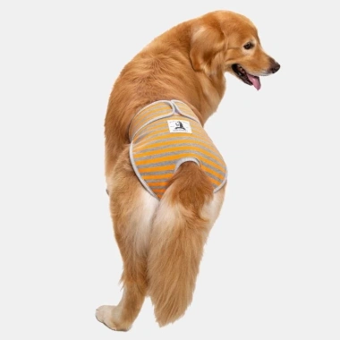 Quần sinh lý chó cái 5-60kg giặt được, thoáng khí, thấm hút, dây dán điều chỉnh, dùng quanh năm - Giá 330.631₫