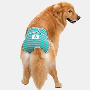 Quần sinh lý chó cái 5-60kg giặt được, thoáng khí, thấm hút, dây dán điều chỉnh, dùng quanh năm - Giá 330.631₫ 6 Quần sinh lý chó cái 5-60kg giặt được, thoáng khí, thấm hút, dây dán điều chỉnh, dùng quanh năm - Giá 330.631₫ 6