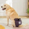 Quần sinh lý chó cái 5-60kg giặt được, thoáng khí, thấm hút, dây dán điều chỉnh, dùng quanh năm - Giá 330.631₫ 8