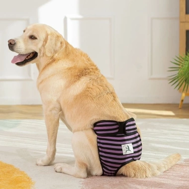 Quần sinh lý chó cái 5-60kg giặt được, thoáng khí, thấm hút, dây dán điều chỉnh, dùng quanh năm - Giá 330.631₫ 8 Quần sinh lý chó cái 5-60kg giặt được, thoáng khí, thấm hút, dây dán điều chỉnh, dùng quanh năm - Giá 330.631₫ 8